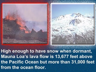 High enough to have snow when dormant,
Mauna Loa’s lava flow is 13,677 feet above
the Pacific Ocean but more than 31,000 feet
from the ocean floor.

 