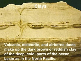 Clays

Volcanic, meteorite, and airborne dusts
make up the dark brown or reddish clay
of the deep, cold, parts of the ocean
basin as in the North Pacific.

 