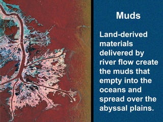 Muds
Land-derived
materials
delivered by
river flow create
the muds that
empty into the
oceans and
spread over the
abyssal plains.

 