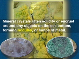 Mineral crystals often solidify or encrust
around tiny objects on the sea bottom,
forming nodules, or lumps of metal.

 