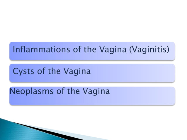 VAGINA LOCATION FUNCTION AND ASSOCIATED DISEASES visual data 7