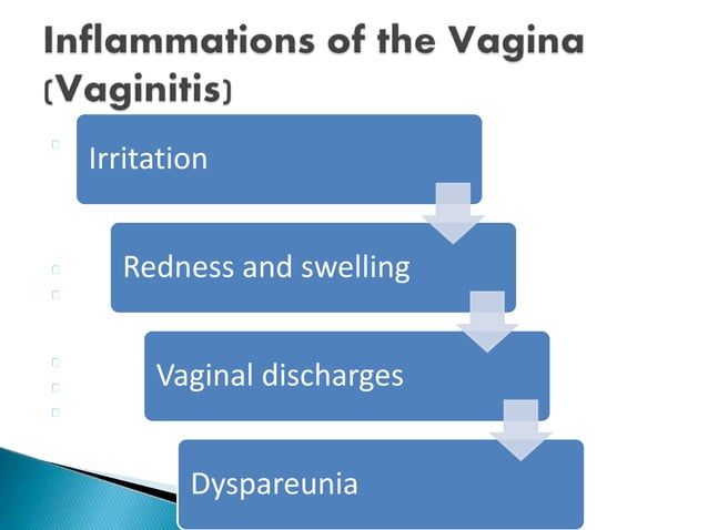 VAGINA LOCATION FUNCTION AND ASSOCIATED DISEASES visual data 3