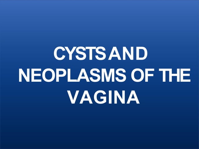 VAGINA LOCATION FUNCTION AND ASSOCIATED DISEASES visual data 2