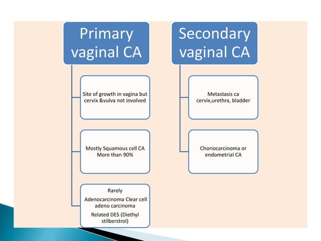 VAGINA LOCATION FUNCTION AND ASSOCIATED DISEASES visual data 8