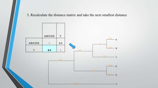 3. Recalculate the distance matrix and take the next smallest distance
A
B
0.5
0.5
D
E
0.5
0.5
C
1
1.5
1.5
2.5
A/B/C/D/E F
A/B/C/D/E 0 8.5
F 8.5 0
F4.25
1.25
 