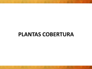 PLANTAS COBERTURA
 