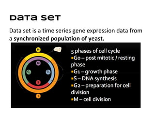 Data Set
Data set is a time series gene expression data from
a synchronized population of yeast.
 