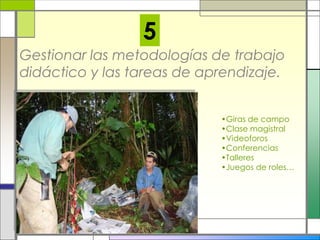 Gestionar las metodologías de trabajo
didáctico y las tareas de aprendizaje.
5
•Giras de campo
•Clase magistral
•Videoforos
•Conferencias
•Talleres
•Juegos de roles…
 