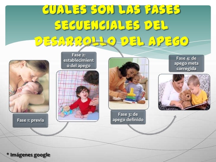 Resultado de imagen para fases del apego