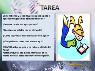 Cómo retienen y luego devuelven poco a poco el
agua los musgos en los bosques de niebla?

¿Cómo se produce el agua potable?

¿Cuánta agua potable hay en el mundo?

¿ Cómo se produce la contaminación del agua?

¿ Qué podemos hacer para ahorrar agua?

EXPANDE: ¿Qué pasaría si no hubiese el Ciclo del
Agua?
*Estas preguntas son claves, mantenlas en tu
mente mientras estas haciendo la investigación.
 