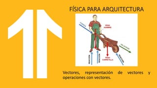 Fundamentals of Vectors and Vector Operations in Physics for ...