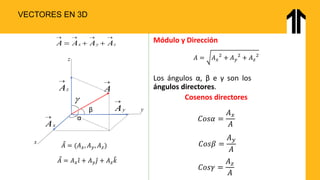 Fundamentals of Vectors and Vector Operations in Physics for ...