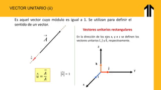 Fundamentals of Vectors and Vector Operations in Physics for ...