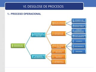 LOGO VI. DESGLOSE DE PROCESOS 
1.- PROCESO OPERACIONAL 
 