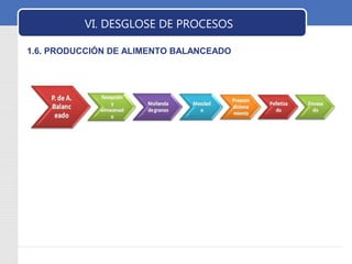 LOGO VI. DESGLOSE DE PROCESOS 
1.6. PRODUCCIÓN DE ALIMENTO BALANCEADO 
 