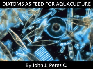 DIATOMS AS FEED FOR AQUACULTURE




        By John J. Perez C.
 