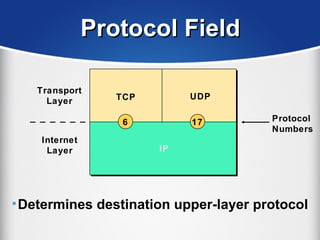 •Determines destination upper-layer protocol
Protocol FieldProtocol Field
Transport
Layer
Internet
Layer
TCP UDP
Protocol
Numbers
IP
176
 
