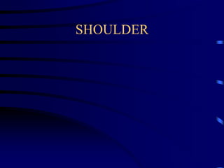 SHOULDER