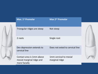 Max. 1st
Premolar Max 2nd
Premolar
Triangular ridges are steep Not steep
2 roots Single root
Dev depression extends to
cervical line
Does not exted to cervical line
Contact area is 1mm above
mesial marginal ridge and
more facially
1mm cervical to mesial
marginal ridge
 