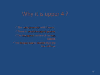 Why it is upper 4 ?
 The only premolar
only premolar with 2 roots
2 roots.
There is mesial marginal groove
mesial marginal groove.
The hexagonal
hexagonal outline of the occ.
occ.
Aspect.
The lingual cusp
lingual cusp is shorter
shorter than the
buccal Cusp
buccal Cusp.
31
 