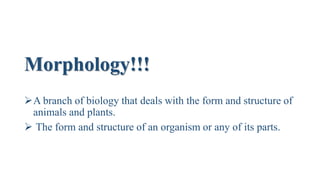 Morphology!!!
A branch of biology that deals with the form and structure of
animals and plants.
 The form and structure of an organism or any of its parts.
 
