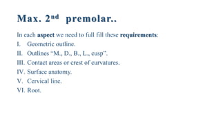 Max. 2nd premolar..
In each aspect we need to full fill these requirements:
I. Geometric outline.
II. Outlines “M., D., B., L., cusp”.
III. Contact areas or crest of curvatures.
IV. Surface anatomy.
V. Cervical line.
VI. Root.
 