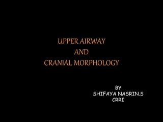 UPPER AIRWAY
AND
CRANIAL MORPHOLOGY
BY
SHIFAYA NASRIN.S
CRRI
 