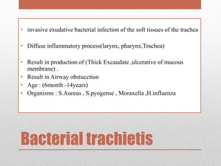 Bacterial trachietis
• invasive exudative bacterial infection of the soft tissues of the trachea
• Diffuse inflammatory process(larynx, pharynx,Trachea)
• Result in production of (Thick Excaudate ,ulcerative of mucous
membrane) .
• Result in Airway obstucction
• Age : (6month -14years)
• Organisms : S.Aureus , S.pyogense , Moraxella ,H.influenza
 