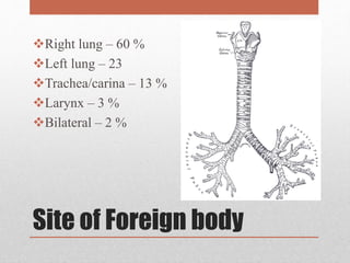 Site of Foreign body
Right lung – 60 %
Left lung – 23
Trachea/carina – 13 %
Larynx – 3 %
Bilateral – 2 %
 
