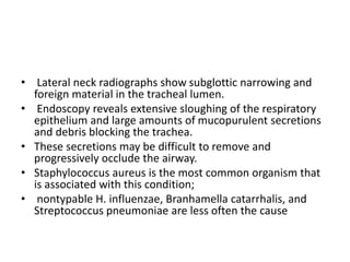 • Lateral neck radiographs show subglottic narrowing and
foreign material in the tracheal lumen.
• Endoscopy reveals extensive sloughing of the respiratory
epithelium and large amounts of mucopurulent secretions
and debris blocking the trachea.
• These secretions may be difficult to remove and
progressively occlude the airway.
• Staphylococcus aureus is the most common organism that
is associated with this condition;
• nontypable H. influenzae, Branhamella catarrhalis, and
Streptococcus pneumoniae are less often the cause
 