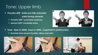 upper and lower limb examination0223.pptx