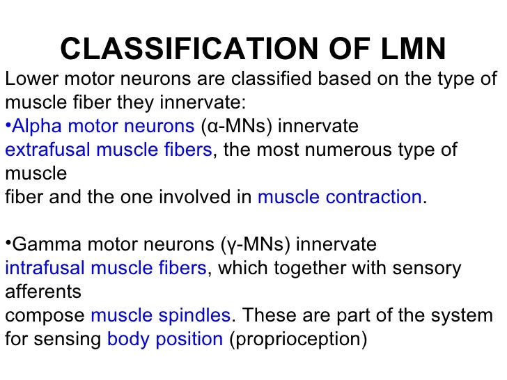 Upper and lower motor neuron lesions by DR.IFRA