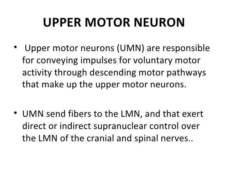 upper motor neuron lesion