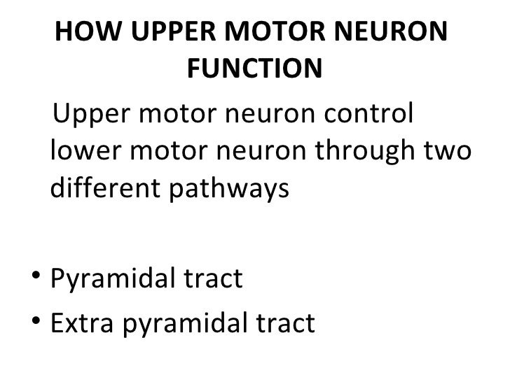 upper motor neuron lesion