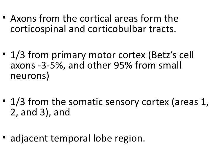 Upper motor neuron corticospinal facial changes — img 11