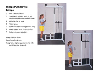 Triceps Push Down: Triceps Use cable machine Stand with elbows bent to full extension and beneath shoulders Grip handle or rope Tight torso Push down extending elbows fully Keep upper arms close to torso Return to start position -Keep cable in front Avoid bending knees -Keep torso tight, upper arms to side, avoid leaning forward 