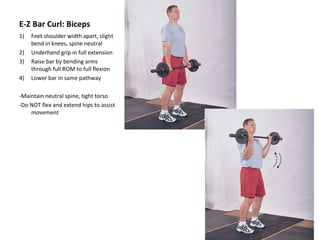 E-Z Bar Curl: Biceps Feet shoulder width apart, slight bend in knees, spine neutral Underhand grip in full extension Raise bar by bending arms through full ROM to full flexion Lower bar in same pathway -Maintain neutral spine, tight torso -Do NOT flex and extend hips to assist movement 