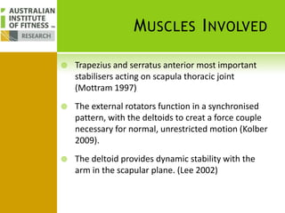 Upper Body Structural Balance | PPTX