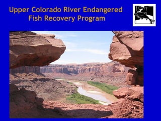 Upper Colorado River Endangered Fish Recovery Program 