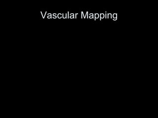 Vascular Mapping
 