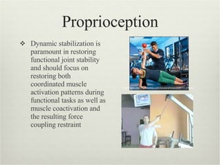 Upper Extremity Balance | PPT