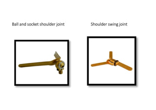 Ball and socket shoulder joint Shoulder swing joint
 