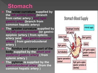  The lesser curvature supplied by
the left gastric artery (branch
from celiac artery ) and right
gastric artery(branch from
common hepatic artery)
 The greater curvature supplied by
the left gastro-omental (or gastro-
epiploic )artery ( from splenic
artery )and right gastro-omental
artery ( from gastroduodenal
artery )
 The fundus and upper part of the
body supplied by the short and
posterior gastric artery ( from
splenic artery )
 The pylorus is supplied by the
gastroduodenal artery (from the
common hepatic artery )
 