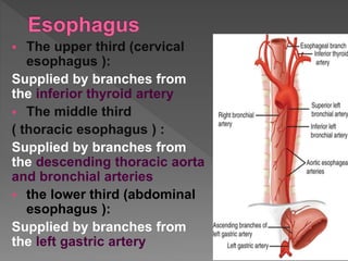  The upper third (cervical
esophagus ):
Supplied by branches from
the inferior thyroid artery
 The middle third
( thoracic esophagus ) :
Supplied by branches from
the descending thoracic aorta
and bronchial arteries
 the lower third (abdominal
esophagus ):
Supplied by branches from
the left gastric artery
 