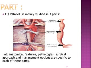  ESOPHAGUS is mainly studied in 3 parts:
All anatomical features, pathologies, surgical
approach and management options are specific to
each of these parts.
62
 