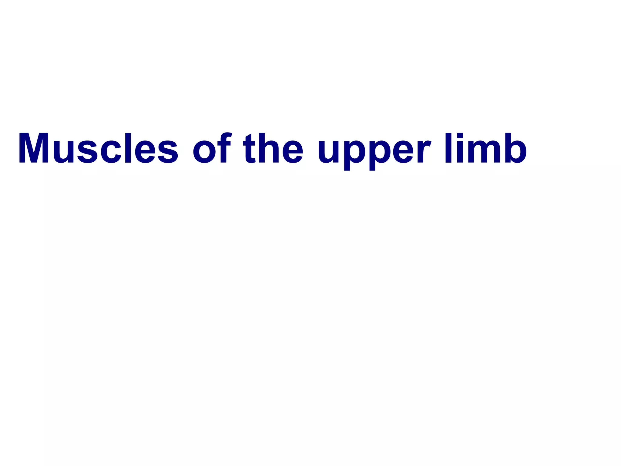 Muscles of the upper limb
 