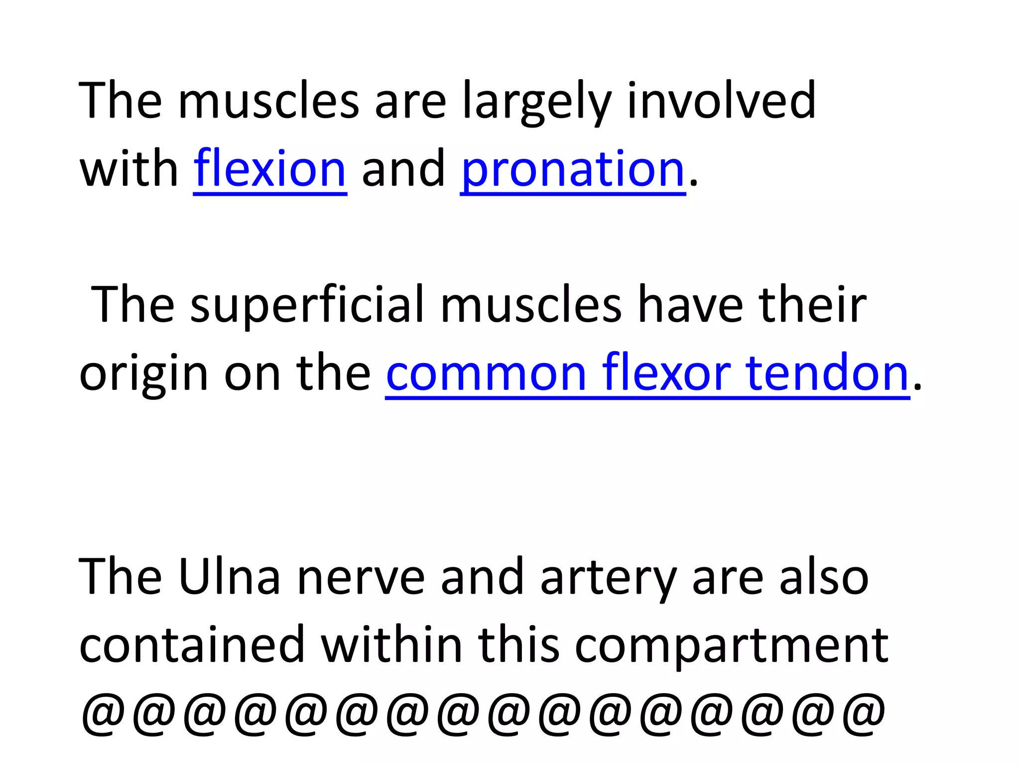 The muscles are largely involved
with flexion and pronation.

The superficial muscles have their
origin on the common flexor tendon.


The Ulna nerve and artery are also
contained within this compartment
@@@@@@@@@@@@@@@@
 