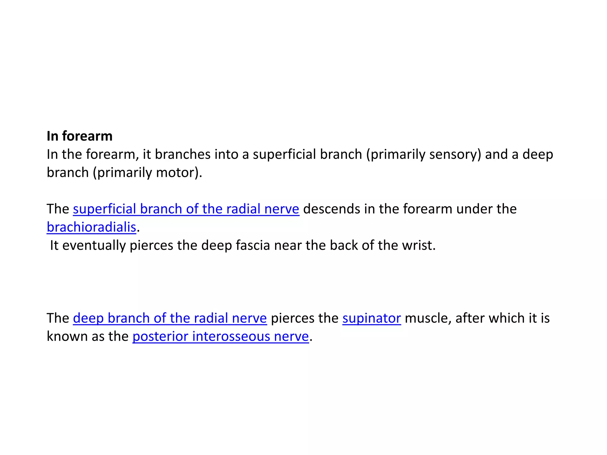 In forearm
In the forearm, it branches into a superficial branch (primarily sensory) and a deep
branch (primarily motor).

The superficial branch of the radial nerve descends in the forearm under the
brachioradialis.
It eventually pierces the deep fascia near the back of the wrist.



The deep branch of the radial nerve pierces the supinator muscle, after which it is
known as the posterior interosseous nerve.
 
