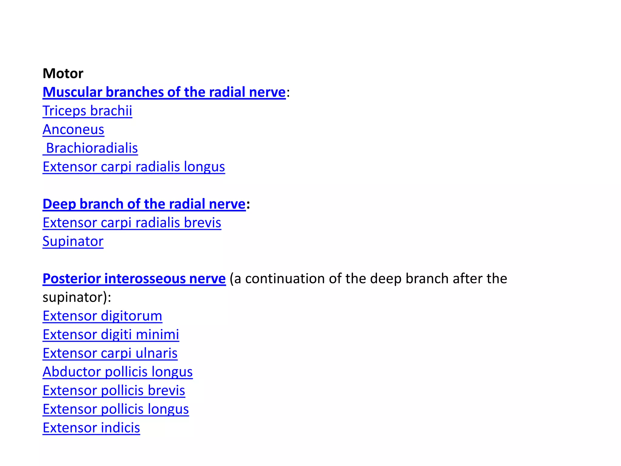 Motor
Muscular branches of the radial nerve:
Triceps brachii
Anconeus
 Brachioradialis
Extensor carpi radialis longus

Deep branch of the radial nerve:
Extensor carpi radialis brevis
Supinator

Posterior interosseous nerve (a continuation of the deep branch after the
supinator):
Extensor digitorum
Extensor digiti minimi
Extensor carpi ulnaris
Abductor pollicis longus
Extensor pollicis brevis
Extensor pollicis longus
Extensor indicis
 
