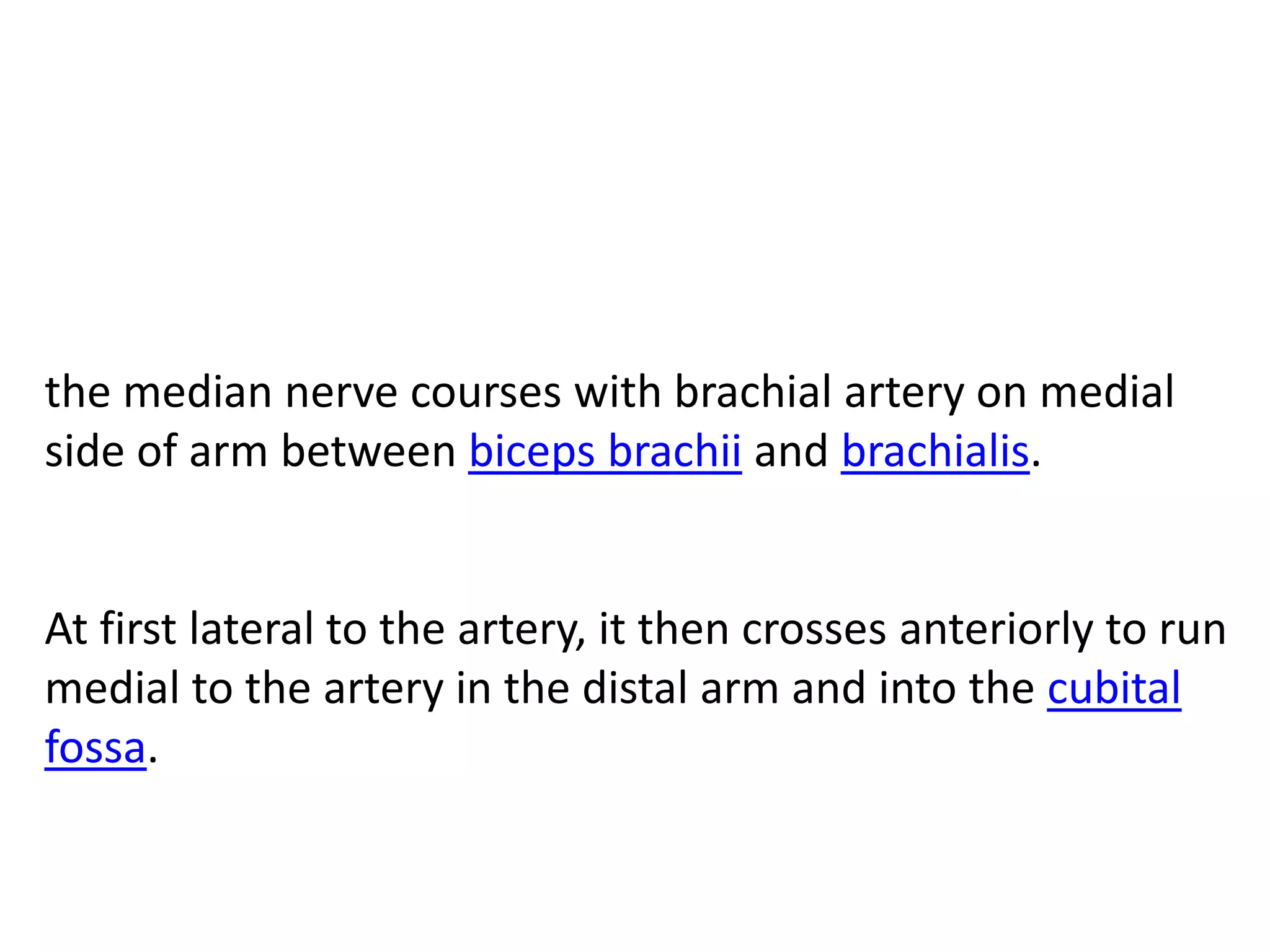 the median nerve courses with brachial artery on medial
side of arm between biceps brachii and brachialis.


At first lateral to the artery, it then crosses anteriorly to run
medial to the artery in the distal arm and into the cubital
fossa.
 